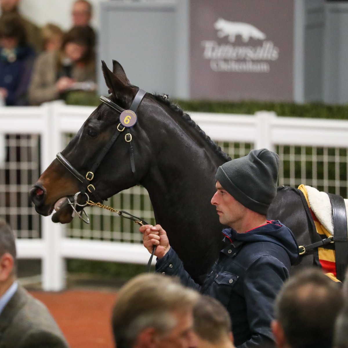 Tattersalls Cheltenham (@tattscheltenham) on Twitter photo Hills Of Glory breaks his maiden tag over hurdles
<a href="/DownpatrickRace/">Downpatrick Racecourse</a> for trainer Gavin Cromwell & the Railway View Racing Syndicate 🚂🟡🟣🔴
#CheltenhamNovember 2022
Preban Stables (J. Walsh) ➡️Fred Mackey, £30,000 Hills Of Glory breaks his maiden tag over hurdles
<a href="/DownpatrickRace/">Downpatrick Racecourse</a> for trainer Gavin Cromwell & the Railway View Racing Syndicate 🚂🟡🟣🔴
#CheltenhamNovember 2022
Preban Stables (J. Walsh) ➡️Fred Mackey, £30,000