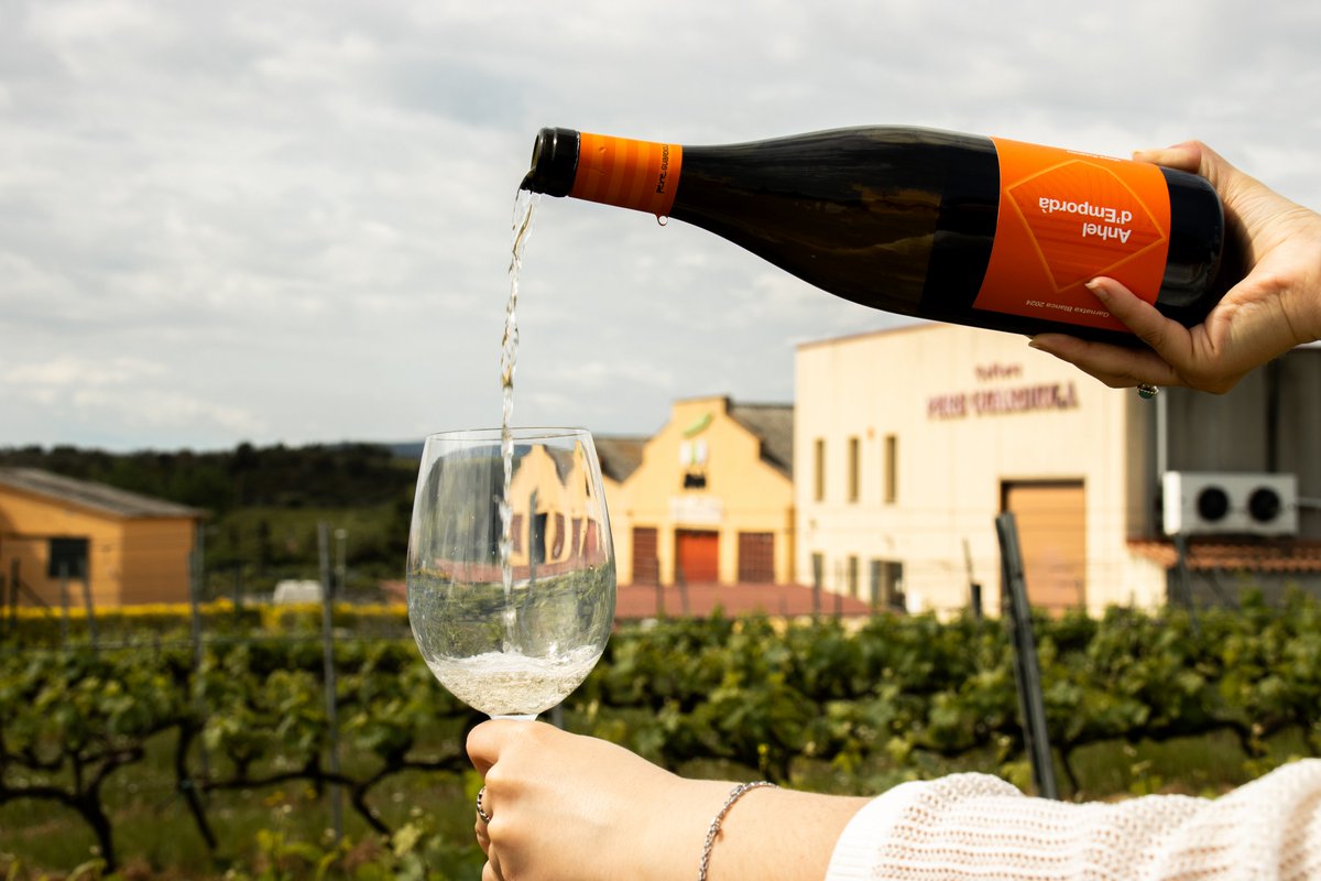 oh_comunicacio's tweet photo. Divendres de primavera, càmera en mà i copa a l’altra 🍷😉 📷Sessió de fotos al celler #pereguardiola #DissenyGràfic #graphicdesign #OhComunicació #comunicacióaudiovisual #Figueres #marketing #màrqueting #empordà #fotografiaprofessional #agènciadecomunicació #dissenyweb https://t.co/syeTQ9pNaj