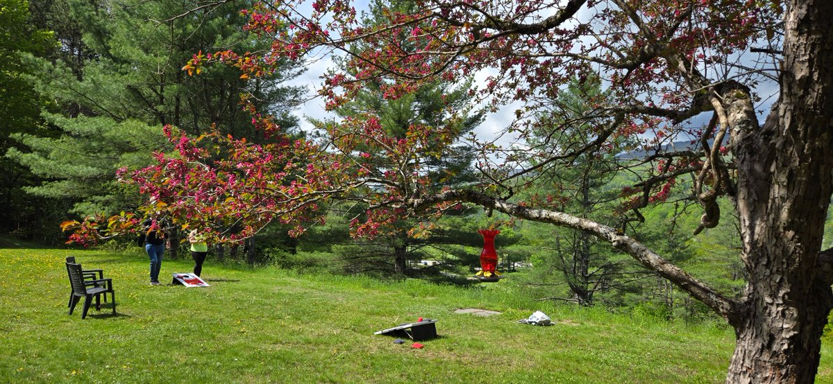 “I’ve never laughed so hard in my life.”
– Guest at Divided Sky
Struggling with substance use? Our residential recovery program is grounded in community, emotional wellness &amp; whole-self healing.

🌐 dividedsky.org | 📞 888-TRY-DSKY