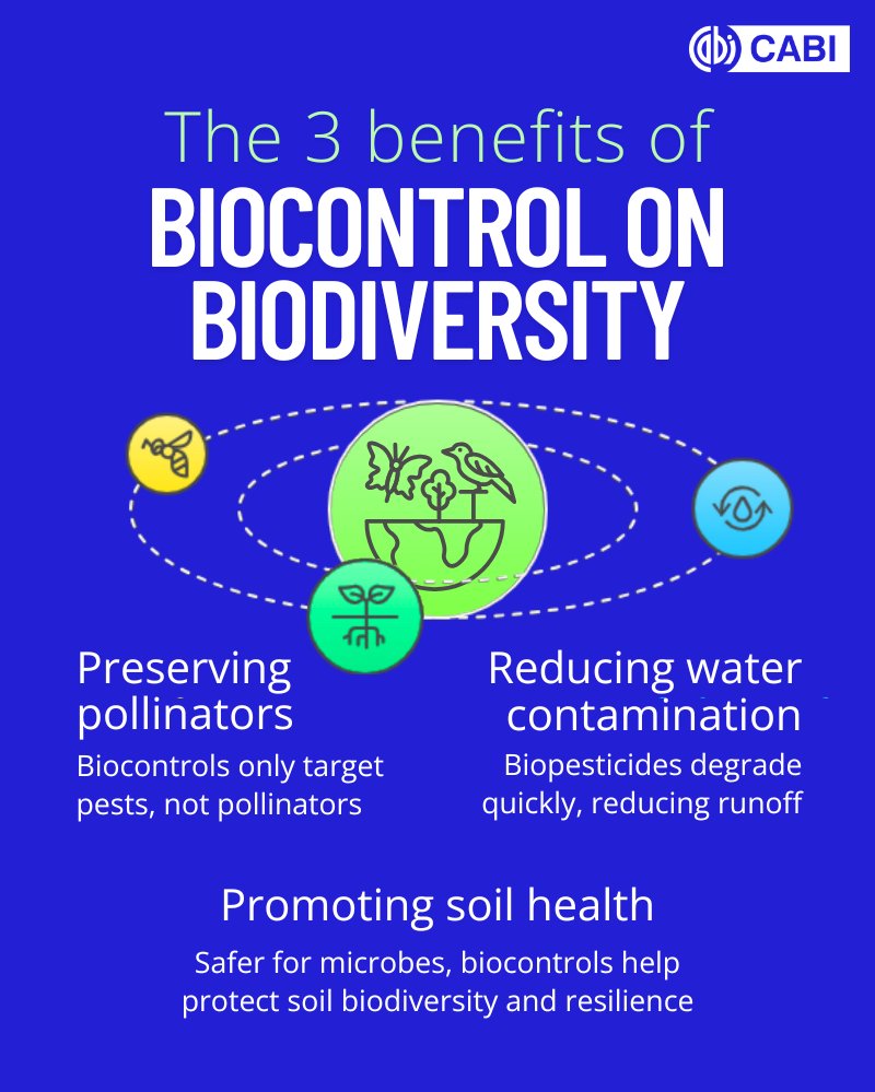 Pollinators, soil microbes and living organisms all contribute to healthy, productive farms. 

But many of these are vulnerable to chemical pesticides.

Biocontrol uses natural organisms to target pests, protecting crops while preserving local biodiversity.