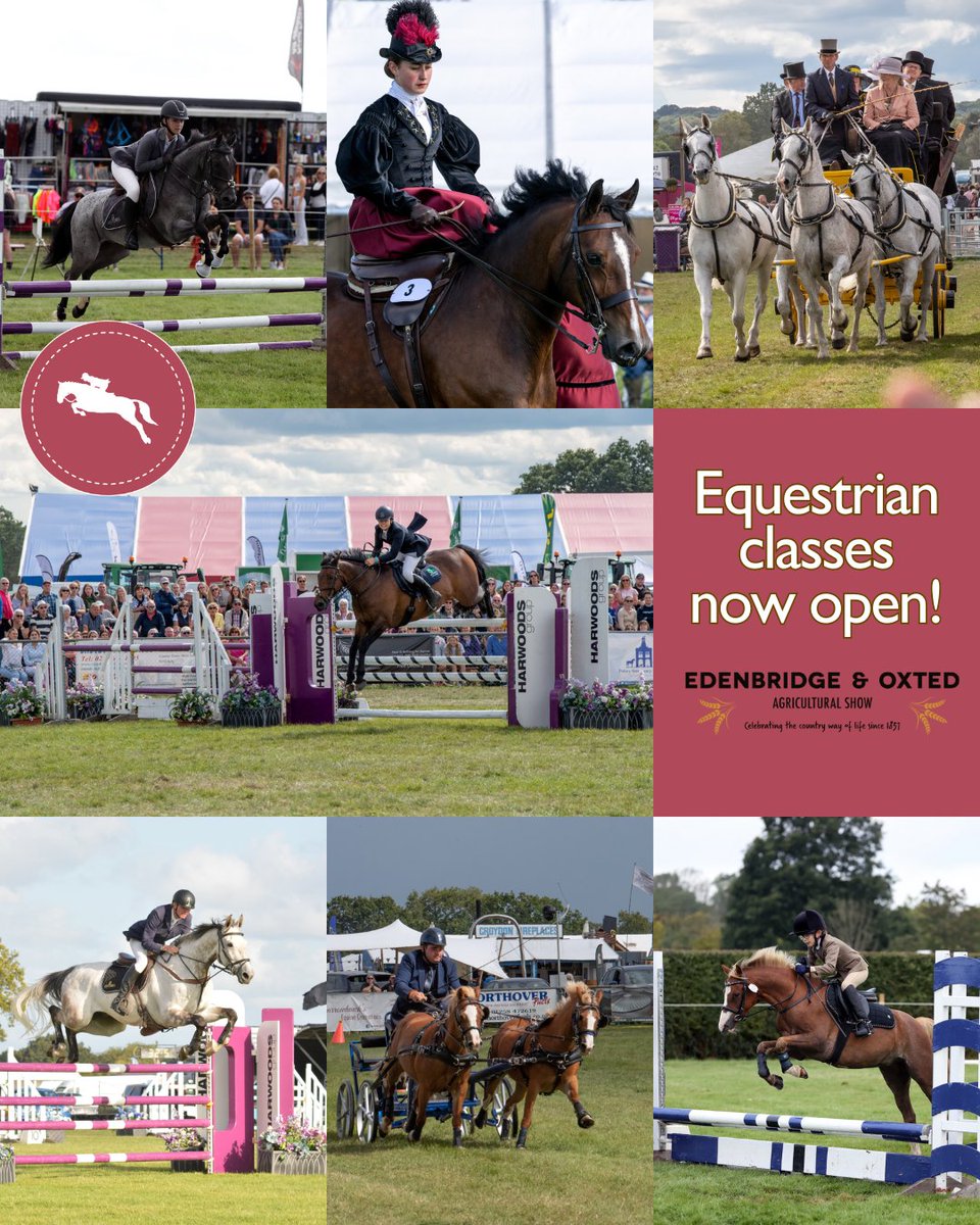 Buckle up, folks 🏇 The online gates are open for you to make entries to our equestrian classes! Take a good look at the schedules 🔍 as there’s so much change this year! 👇
edenbridge-show.co.uk/show/applicati…
📍Lingfield, Surrey (J6 M25)
📅Sun 24th &amp; Mon 25th August
#EquineEventsUK