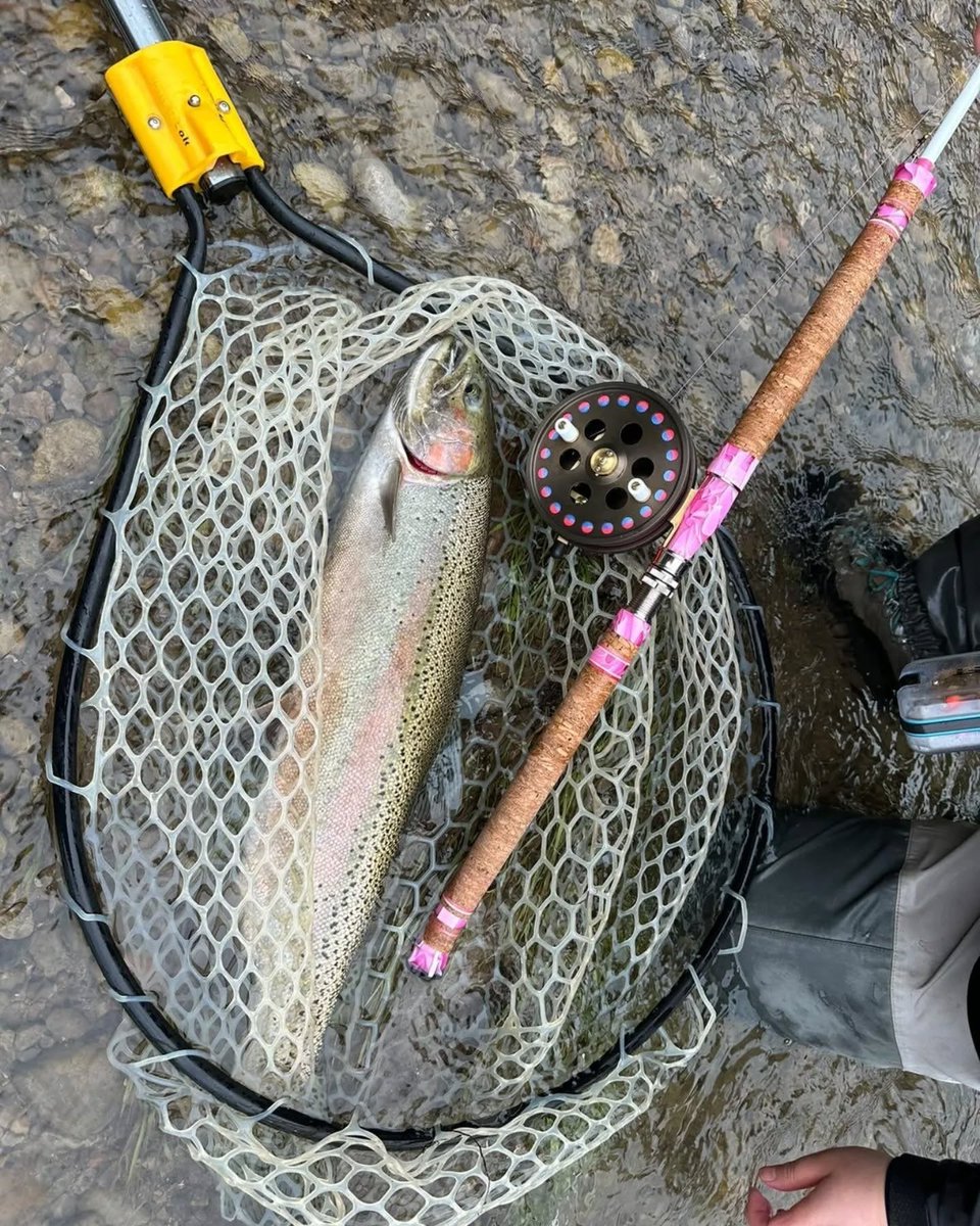 Check out this beautiful handmade fly fishing rod by @chay_turning made with colored veneer accents!⁠
⁠
#roarockit #fridayfeature #repost⁠