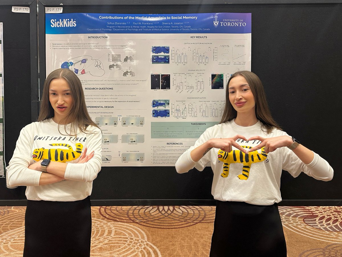 neur1s's tweet image. Conferenciating at #CAN2025 today? Come see my poster on social memory!
Learn how the amygdala helps us tell apart friends vs. foes (as reenacted in the photo) and how this ability is shaped by oxytocin signaling and engrams :)