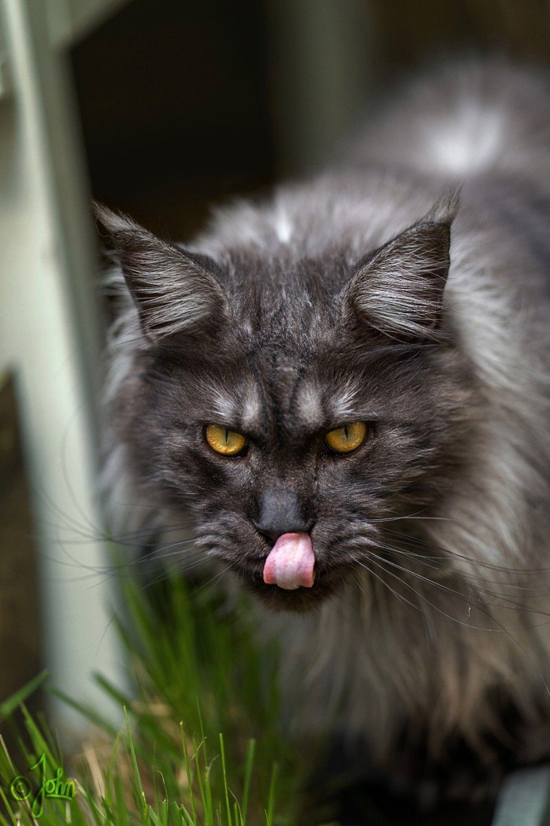 Morgen is mijn verjaardag. 2 word ik dan 🥳.