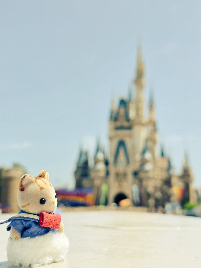 Kyon4u3's tweet photo. ドナパル！夢の国がさらに大盛り上がりですねぇ😊 https://t.co/Mx81EHgSAe