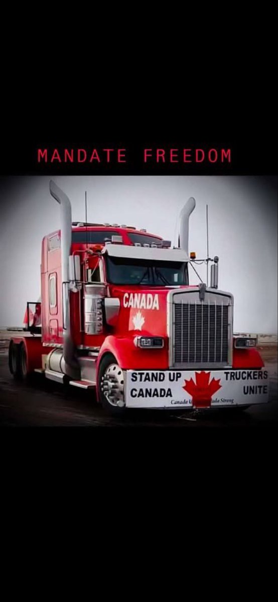 Concerned Canadian tweet media