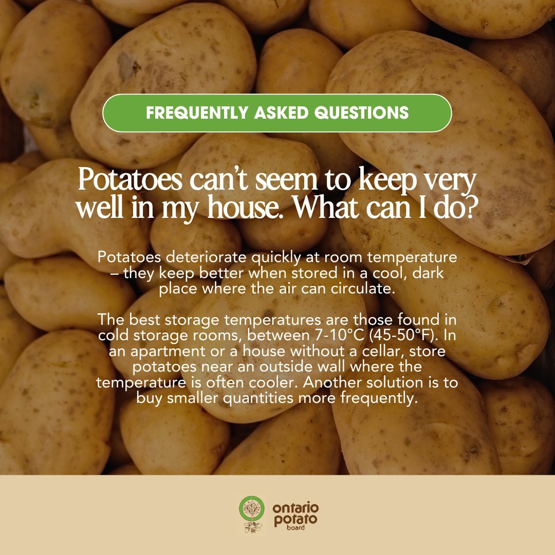 #FAQ on storing potatoes at home! 🥔🌡️
