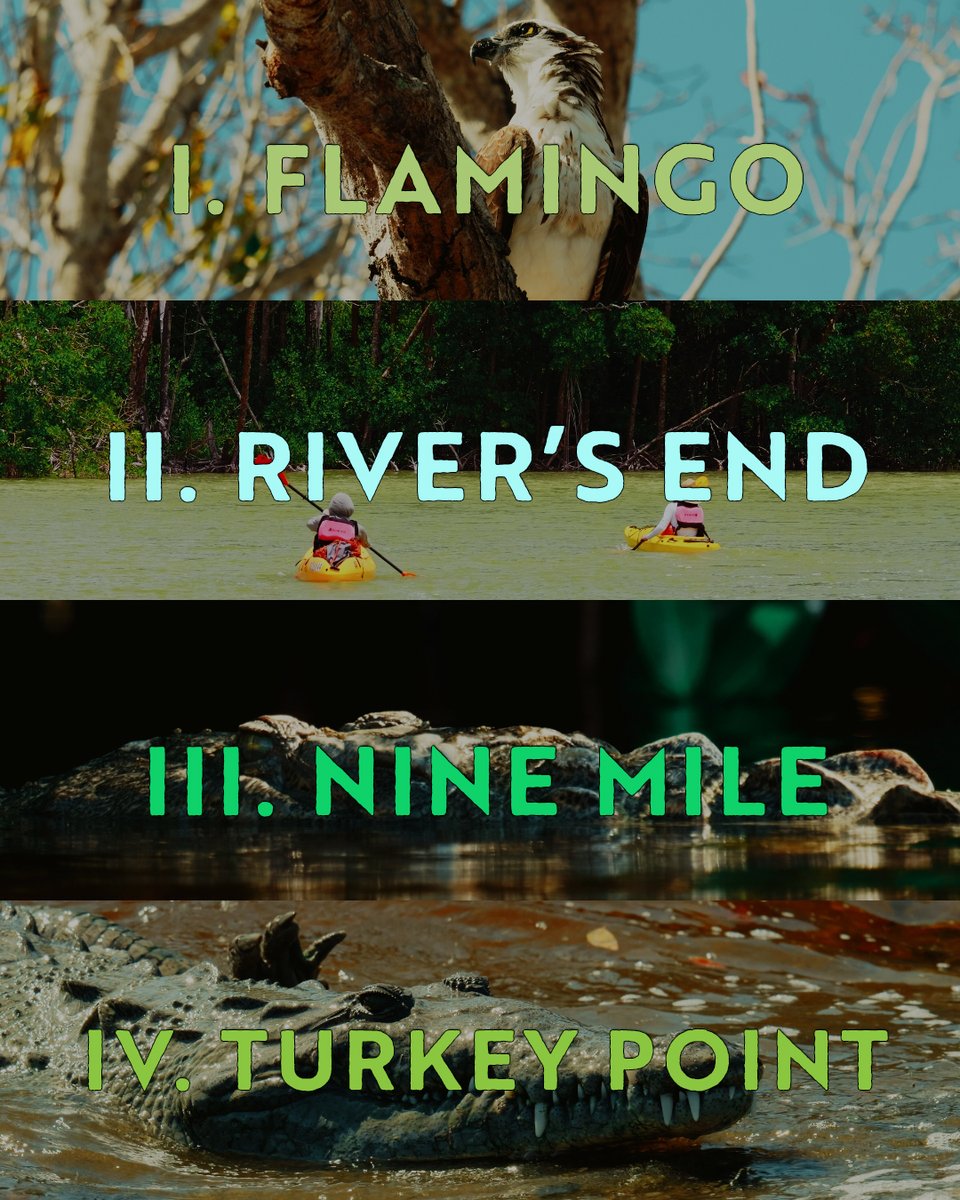 xploristsociety's tweet image. The official chapters to the "King of the Everglades" documentary saga.