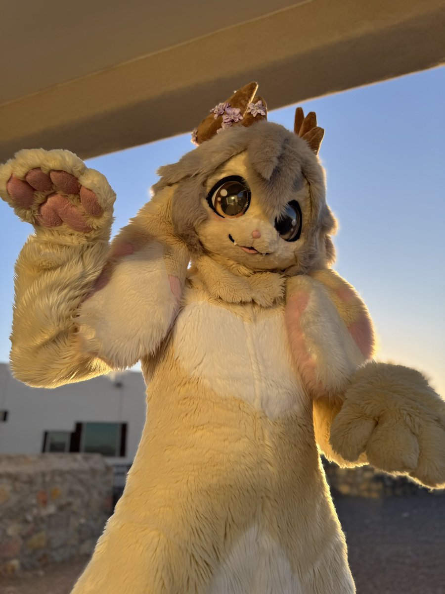 who gonna pet my belly?
#FursuitFriday