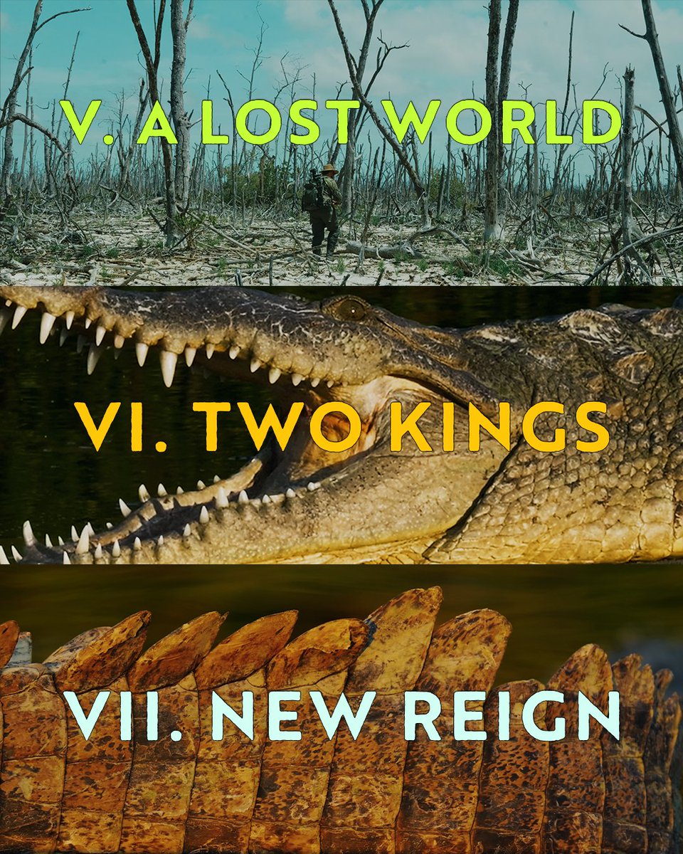 xploristsociety's tweet image. The official chapters to the "King of the Everglades" documentary saga.