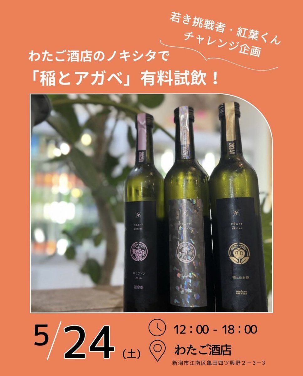 Theansanity11's tweet photo. 今日はわたご酒店さんにて角打ち！

お酒は「稲とアガベ」のクラフトサケ数種と僕の日本酒の原点「かたふね はなじかん」を！

［お品書き］
・佐渡牛のロースト〜㊙︎のSAKEソース〜
・平目のカラスミバケット
・稲と佐渡サーモン(白麹サーモン塩辛)
・ラッピさんの牡蠣でアヒージョ

来てね！
・ https://t.co/X8mfvZJU9D