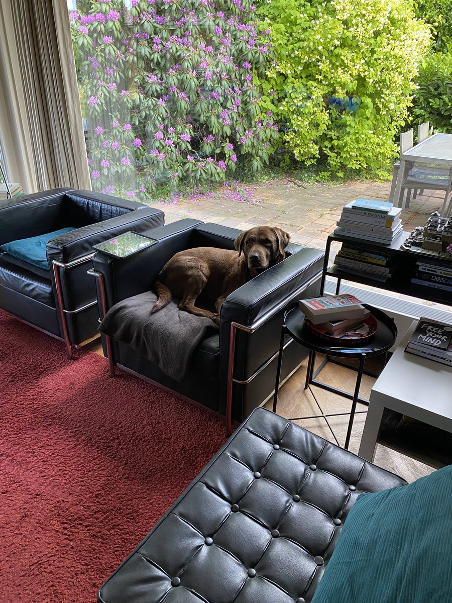 Ward Markey tweet media