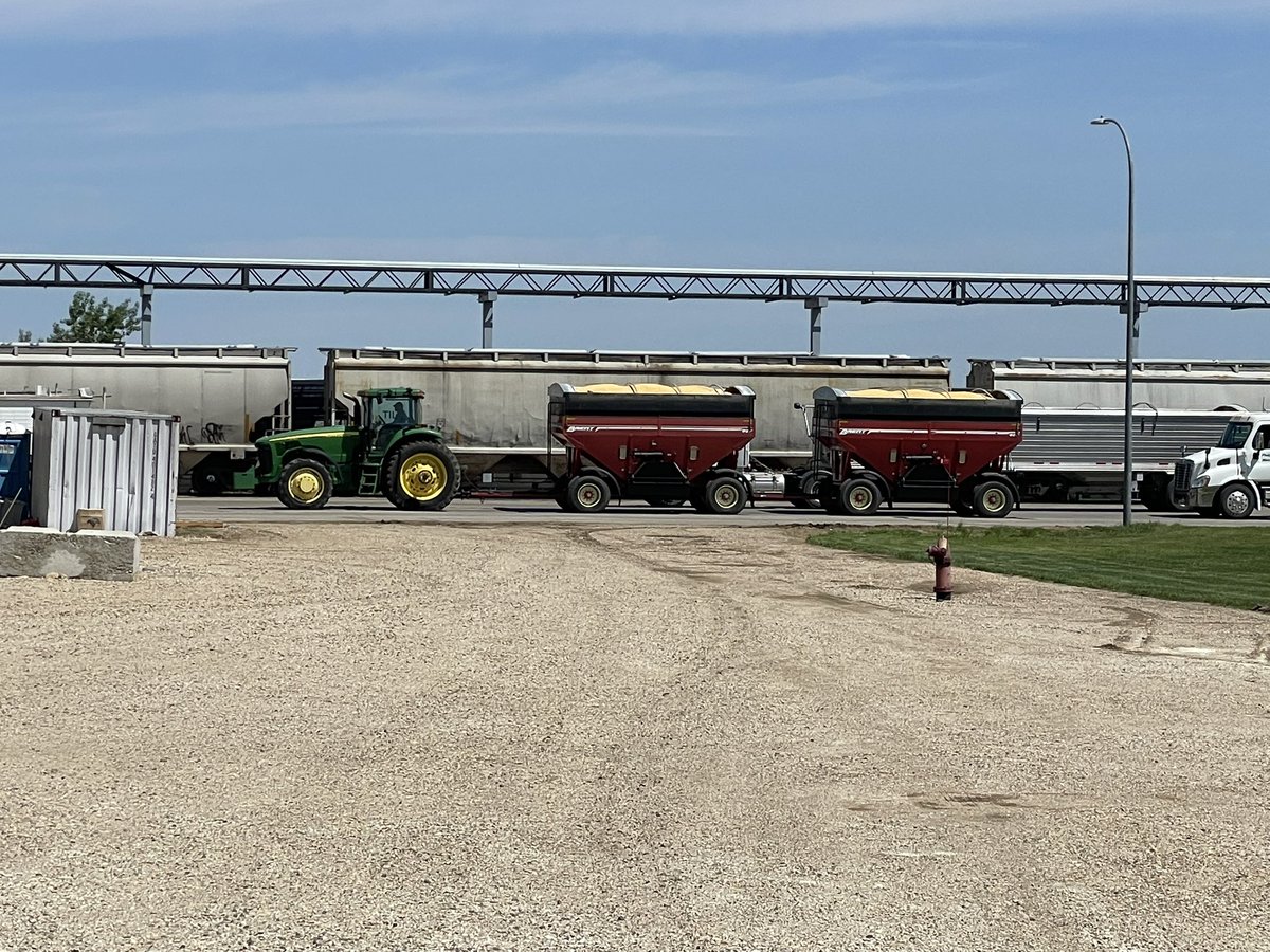 Ole Karstad tweet media