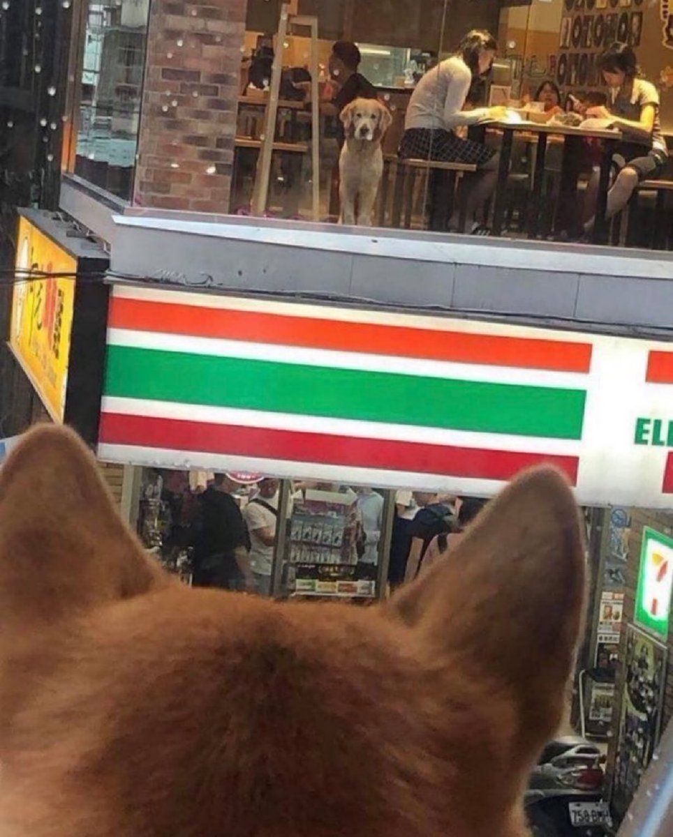 ドラマみたいな出会い方してて草