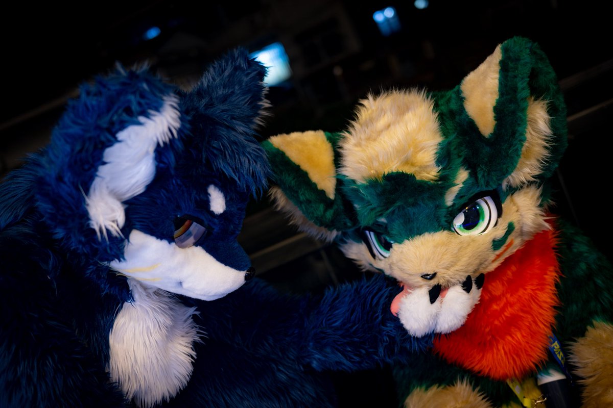 狼と犬
📷：<a href="/IFCT_Wute/">武-特</a> 
🐶：@溪叶
#FursuitsFriday  #只要我没睡就还是周五