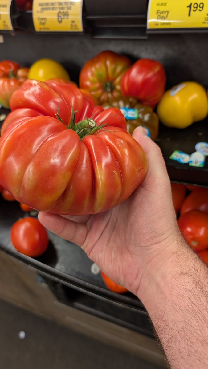LukeEOrr's tweet photo. Starlink Mini is the same size as this tomato. #Starlink https://t.co/hlcTmurmbV
