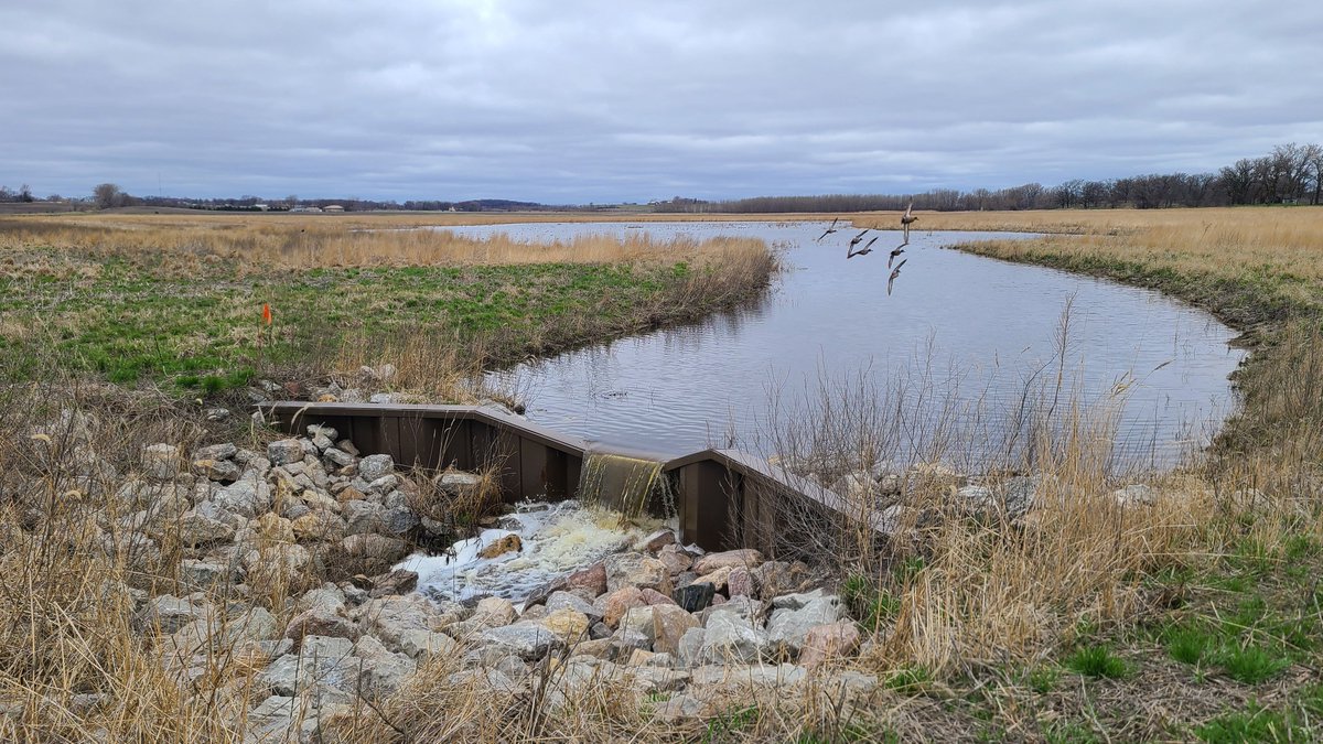 MNBWSR's tweet image. Landowners in 66 Minnesota counties can apply through June 6 for MN CREP, which permanently protects environmentally sensitive land via conservation easements. Contact your local SWCD or FSA office to apply. More info: buff.ly/opPoxkH