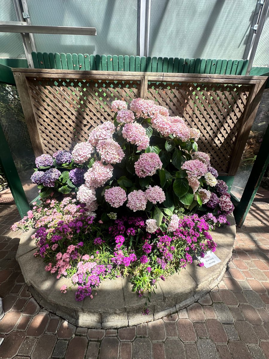 depaulccm's tweet photo. DOUBLE CSU POST😱 Yes! CSU and students enjoyed the beautiful weather last Saturday when they visited the Lincoln Park Conservatory, had some lunch, and reflected on nature! https://t.co/xZHsqzpq69