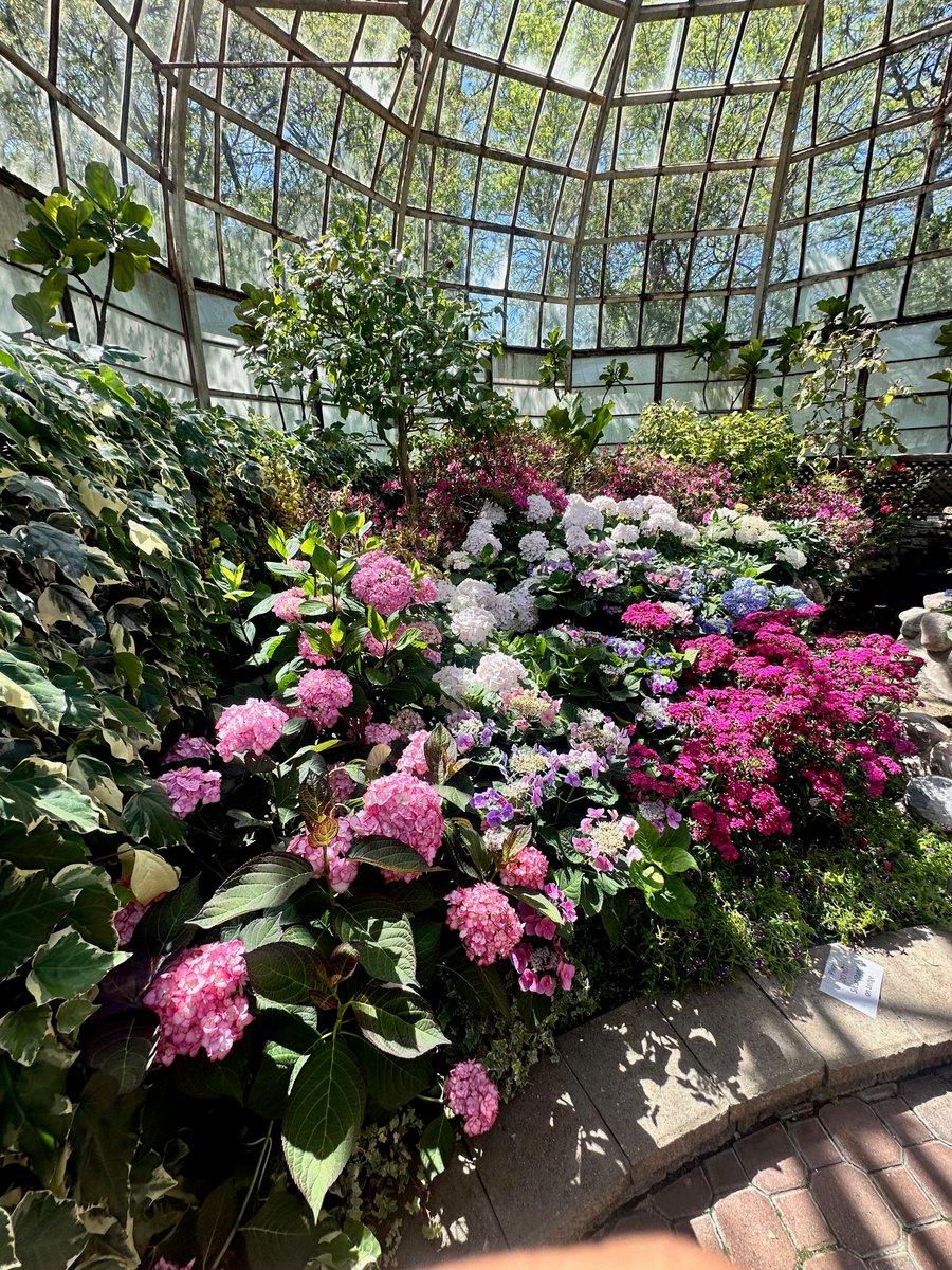 depaulccm's tweet photo. DOUBLE CSU POST😱 Yes! CSU and students enjoyed the beautiful weather last Saturday when they visited the Lincoln Park Conservatory, had some lunch, and reflected on nature! https://t.co/xZHsqzpq69