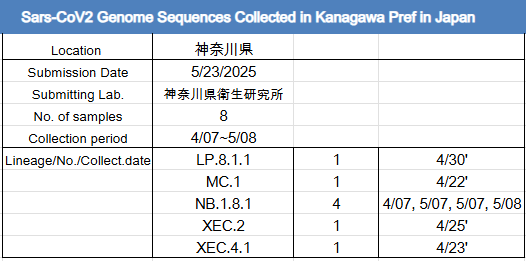 神奈川県でもNB.1.8.1が急増！
すでに支配株になっていると思われる。