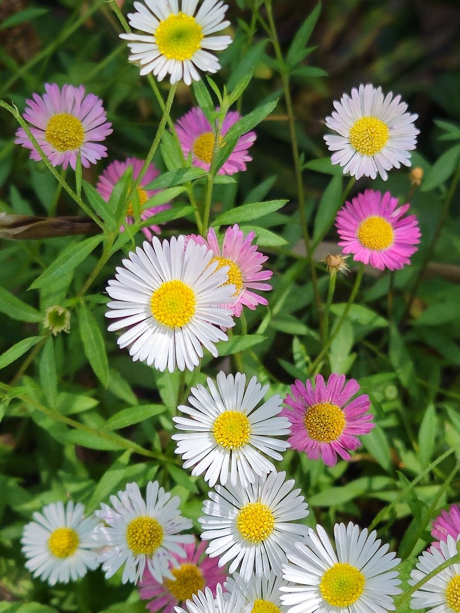 All I want is for you to be happy.