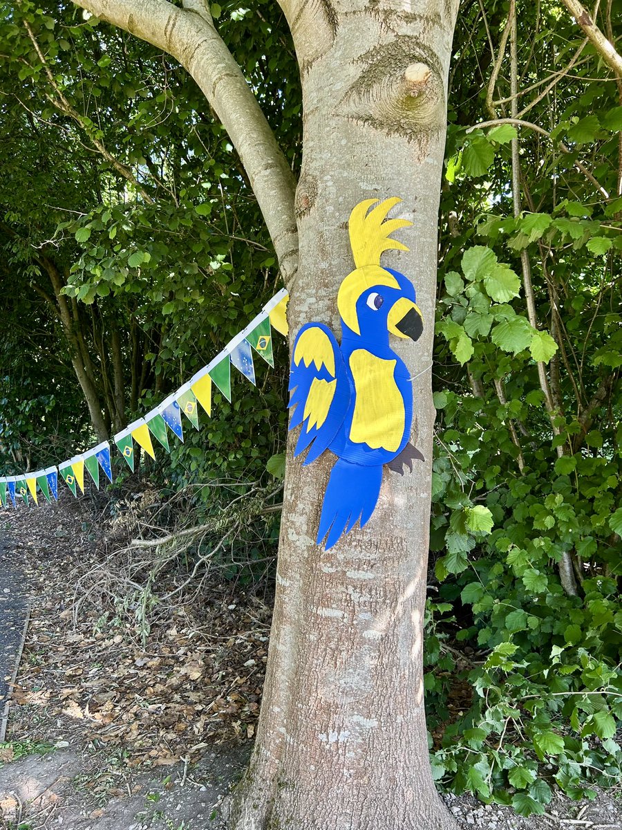 Matthew (Mr Salmon) tweet media