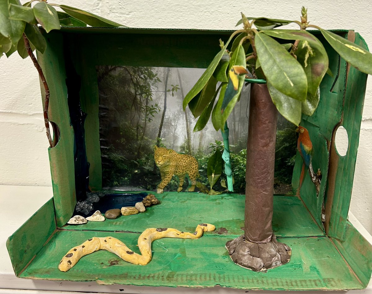 Matthew (Mr Salmon) tweet media