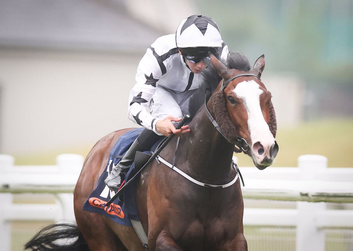The Curragh Racecourse (@curraghrace) on Twitter photo A determined ride by Jockey Patrick McGettigan sees Brigid’s Cloak take the <a href="/Cavalor_RACE/">Cavalor.race</a> <a href="/IrishEBF_/">Irish Stallion Farms</a> (Fillies) Handicap for trainer <a href="/JohnnyMurtagh/">Johnny Murtagh</a> 👏
Well done to all involved. 👏🏅 A determined ride by Jockey Patrick McGettigan sees Brigid’s Cloak take the <a href="/Cavalor_RACE/">Cavalor.race</a> <a href="/IrishEBF_/">Irish Stallion Farms</a> (Fillies) Handicap for trainer <a href="/JohnnyMurtagh/">Johnny Murtagh</a> 👏
Well done to all involved. 👏🏅