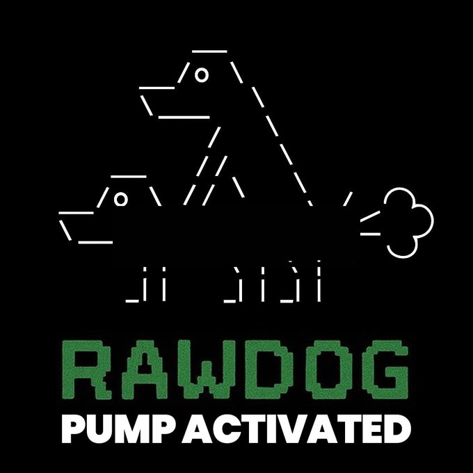 RAWDOGCTO tweet media