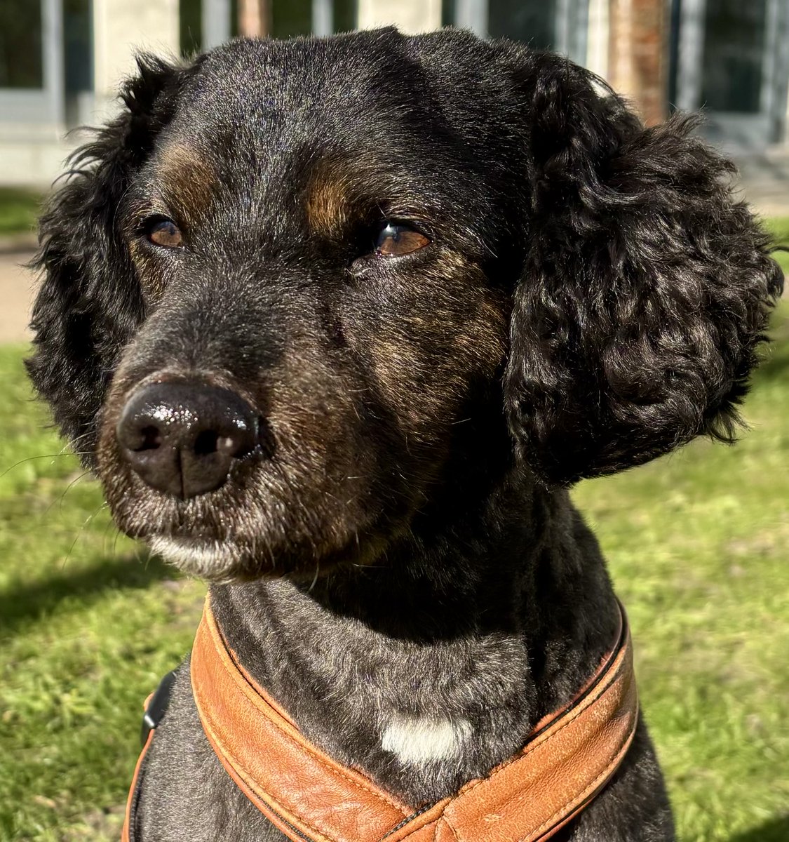 Bosse hejar på DIF 💛❤️💙 trevlig helg