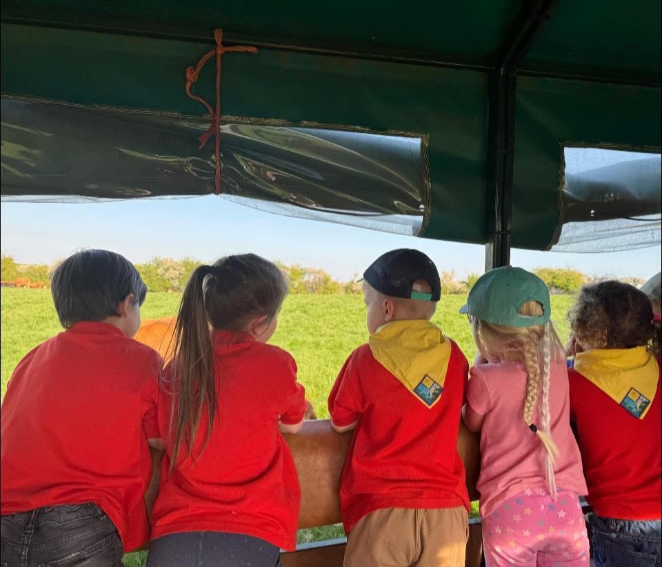 1st Alcester Scout Group tweet media