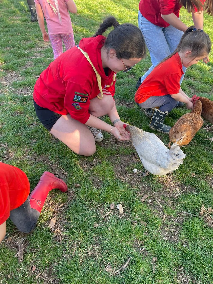 1st Alcester Scout Group tweet media