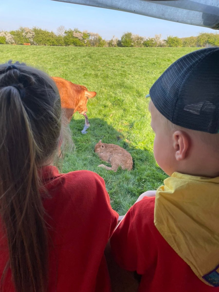 1st Alcester Scout Group tweet media