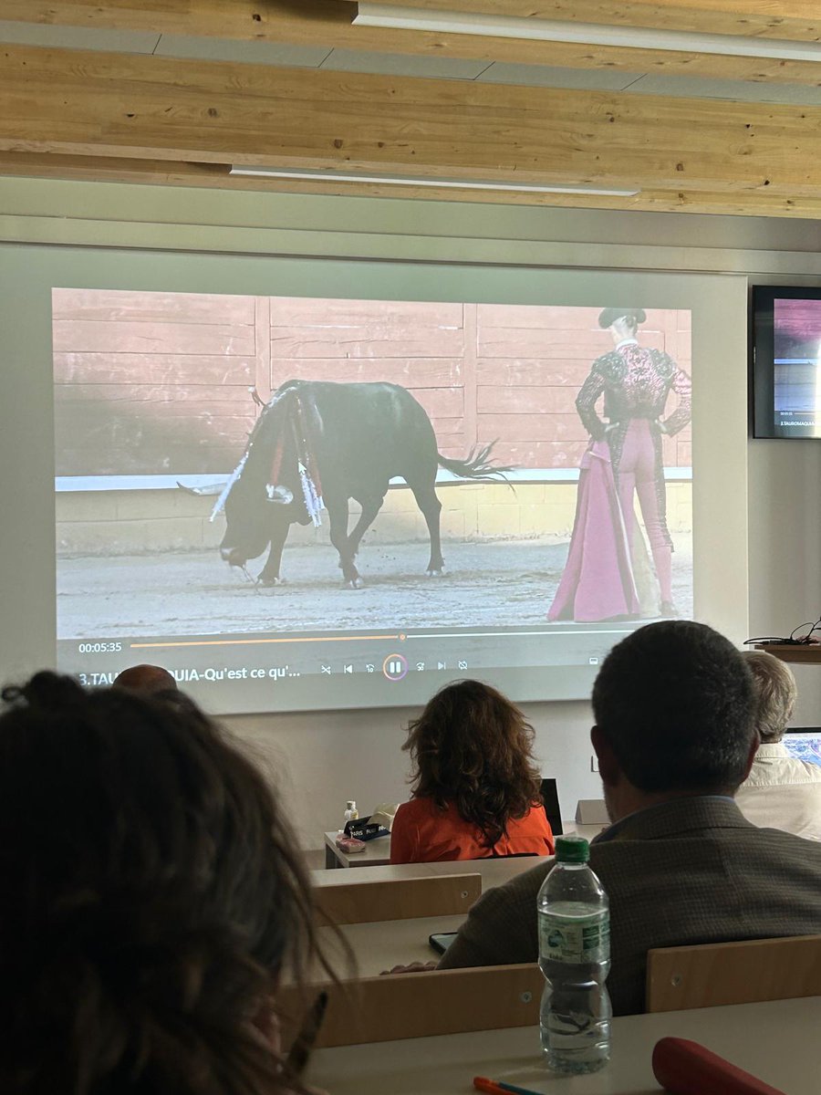 La Fondation Brigitte Bardot présente au colloque "Les Vétérinaires et la corrida"

La Fondation était présente à ce colloque organisé par le COVAC (Collectif des Vétérinaires pour l’Abolition de la Corrida) d'une grande qualité scientifique, réunissant vétérinaires,