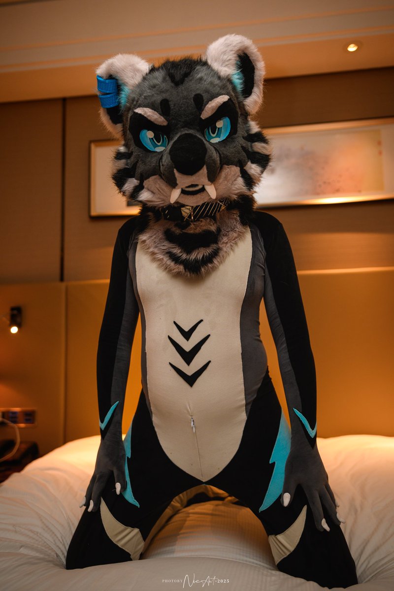 我知道你在想什么
#Spandex #Fursuit #Huanmao_CN #幻毛造物