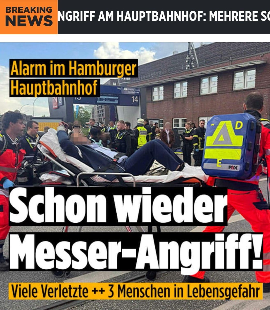 Nimmt den POLITIKERN ihren Personenschutz und ihre Leibwächter weg, setzt sie in öffentliche Verkehrsmittel, schickt ihre Kinder auf öffentliche Schulen und in Rekordzeit wird die "innere Sicherheit" wieder hergestellt werden. 🇩🇪 #AfD #Remigration #Hamburg #Messerattacke #Berlin