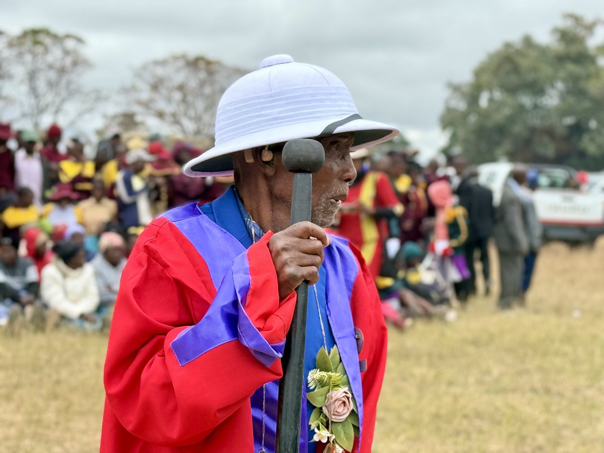 Albert T Mavunga tweet media