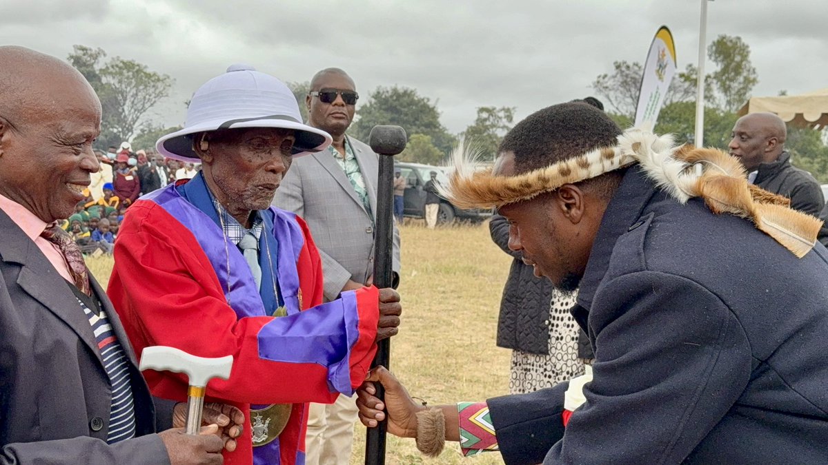 Albert T Mavunga tweet media