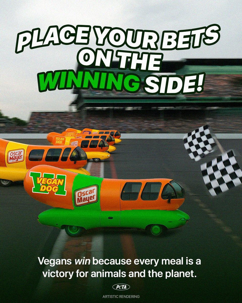 PETA (@peta) on Twitter photo The Wienermobiles just raced through the Indy 500, but there's no need to fuel cruelty with every lap.
It’s 2025. <a href="/oscarmayer/">Oscar Mayer</a> has delicious plant-based Not Hot Dogs. So where's the Vegan Wienermobile? The Wienermobiles just raced through the Indy 500, but there's no need to fuel cruelty with every lap.
It’s 2025. <a href="/oscarmayer/">Oscar Mayer</a> has delicious plant-based Not Hot Dogs. So where's the Vegan Wienermobile?