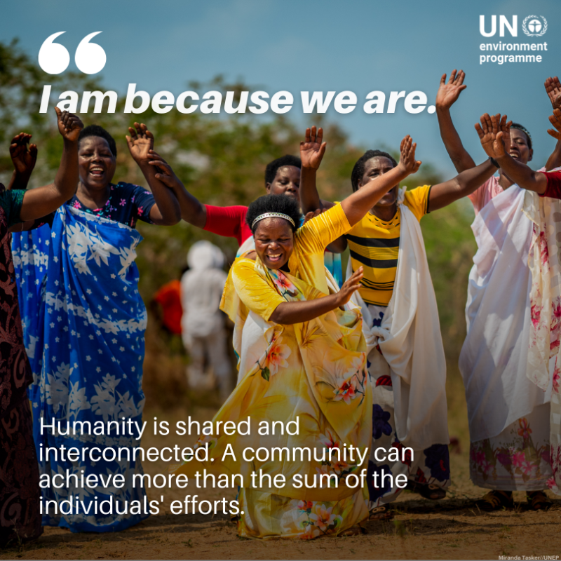 UNEP's tweet photo. Rooted in centuries of lived experience, African proverbs encapsulate traditional ecological knowledge, respect for nature, and sustainable practices.

On #AfricaDay, here are some sayings that teach us lessons about our shared relationship with nature and the environment.