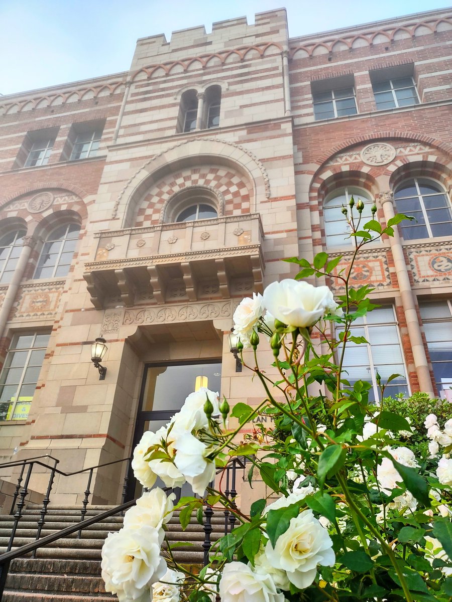HenneLab's tweet image. Beautiful morning to walk UCLA campus.