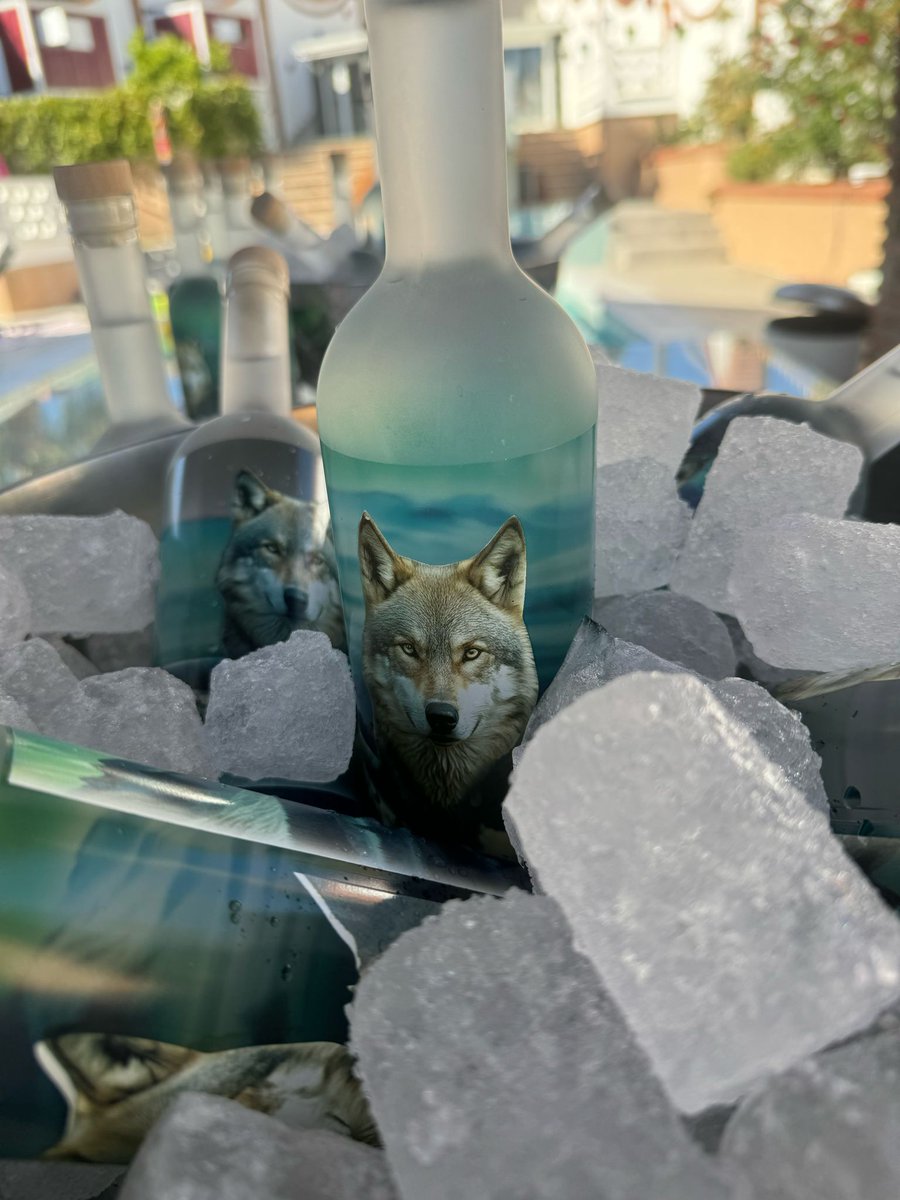LisaRenick105's tweet photo. Premium vodka sales shot up 7% globally in 2024 
Luxury tastes are on the rise—cheers to that! 

#NorthSpiritVodka #PremiumSpirits #VodkaLovers #LuxuryMarket #AlcoholIndustry #SpiritsGrowth #DrinkTrends #FoodAndDrink #CheersToThat https://t.co/ZEc3YamOJ5