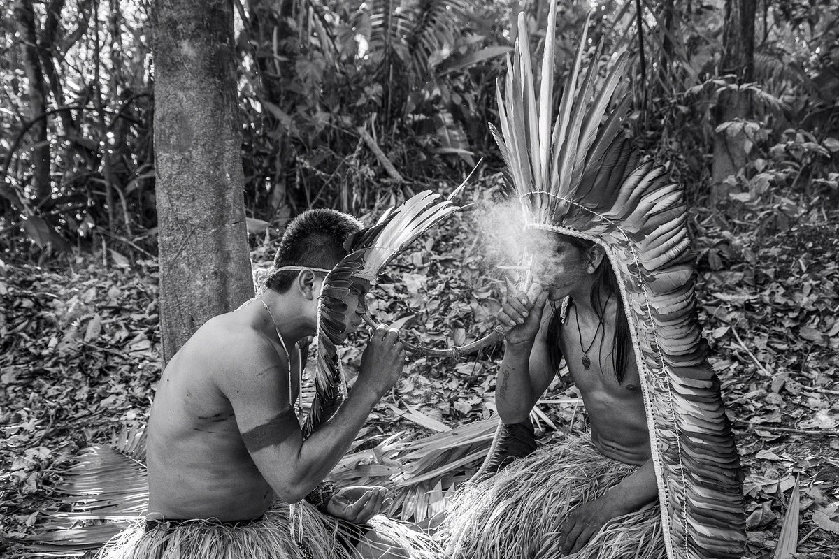erikarand's tweet image. 💔 Brazilian photographer Sebastião Salgado has just flown free.🕊️ One of my favorite photographers of all time, his gift to us was documenting the native tribes of the Amazon rainforest, and alongside his wife, creating the nonprofit Instituto Terra, which made an enormous…