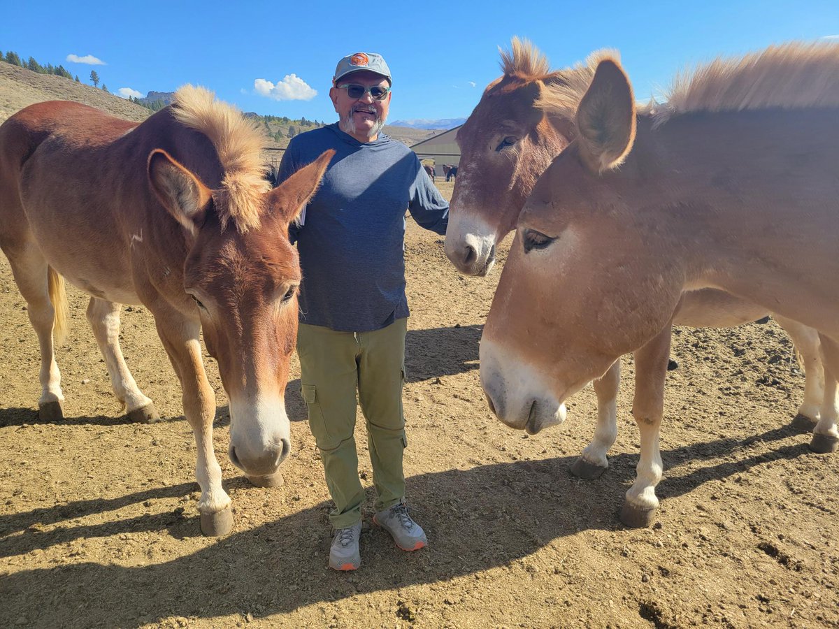 SierraForever's tweet photo. Happy #MuleDays! All of us at @SierraForever wish Bishop/Eastern Sierra locals, as well as visitors this #MemorialDayWeekend, a Safe &amp; Happy #MuleDays2025! Visit our webstore, https://t.co/PxKhnAy1V2, &amp; search for mules or packers to find books we have for sale on the subject. https://t.co/oGSrYUlnm1