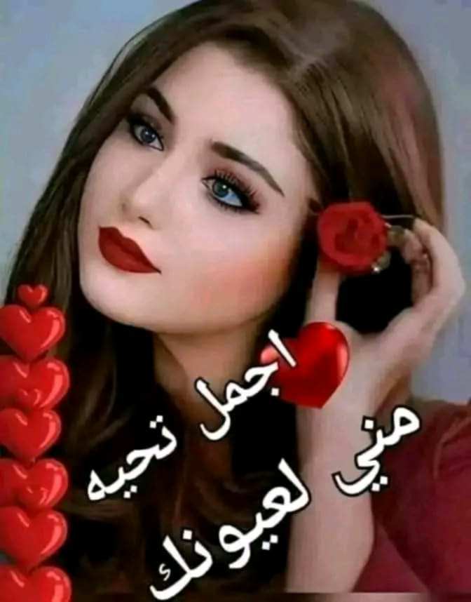 Ali Hashish tweet media
