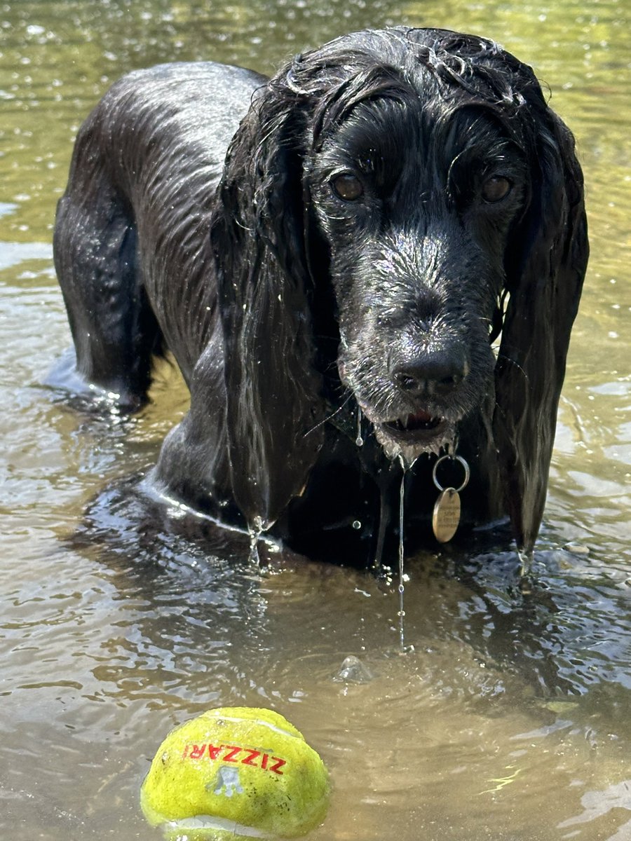 Wotcha pals 😘👋🏻