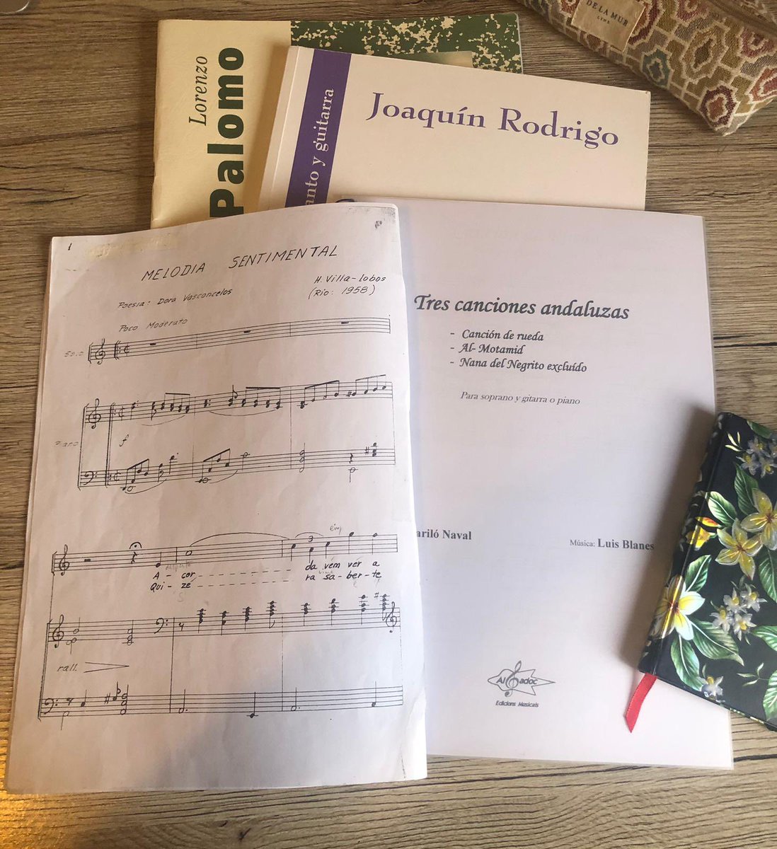 🎶 Preparant nous camins musicals✨
Aquests dies m’endinso en cançons de Joaquín Rodrigo i en la dolça tendresa de la "Nana del negrito excluido" de Luis Blanes.
Revisito les joies de Lorenzo Palomo, que tant m’han acompanyat a l’escenari i que aviat tornaré a portar amb mi🌹