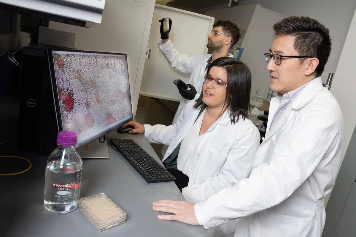 Researchers in <a href="/CoulterBME/">Coulter BME | Emory & Georgia Tech</a> created a treatment that could one day unlock a universal strategy for treating some of the hardest-to-treat cancers — like those in the brain, breast, and colon — by teaching the immune system to see what it usually misses. b.gatech.edu/3H7bIqS