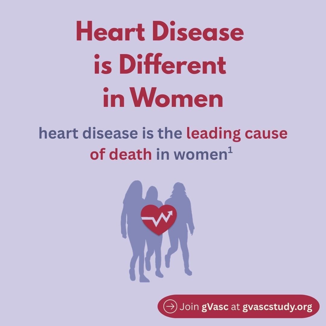 gVasc Study tweet media