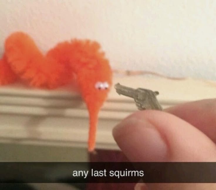 squirmcoin's tweet photo. @Regrets10x keep squirming

$squirm https://t.co/ic0k9ukQOE